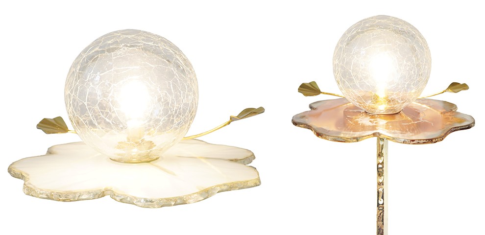 lotus slide 2 copia-4322230648.jpg